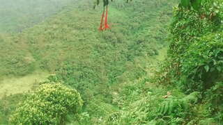 ���ொலம்பிய காட்டில் கொடுக்க மொழி மற்றும் செக்ஸ் அந்நியர்கள், செக்ஸ் ஈடாக நிதி உதவி.