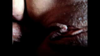 L-anzjani u fil-Annimal