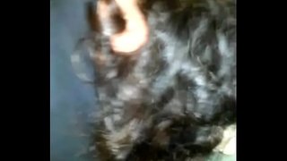 Rompendo o burro da miña impertinente