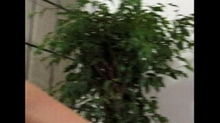 مترو - لزبین - فیلم های صحنه 8 - عصاره 2